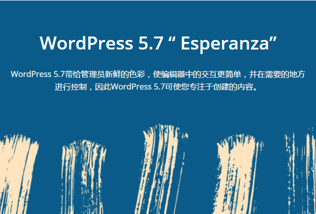 WordPress 5.7 发布：新增一键从HTTP转换HTTPS功能插图